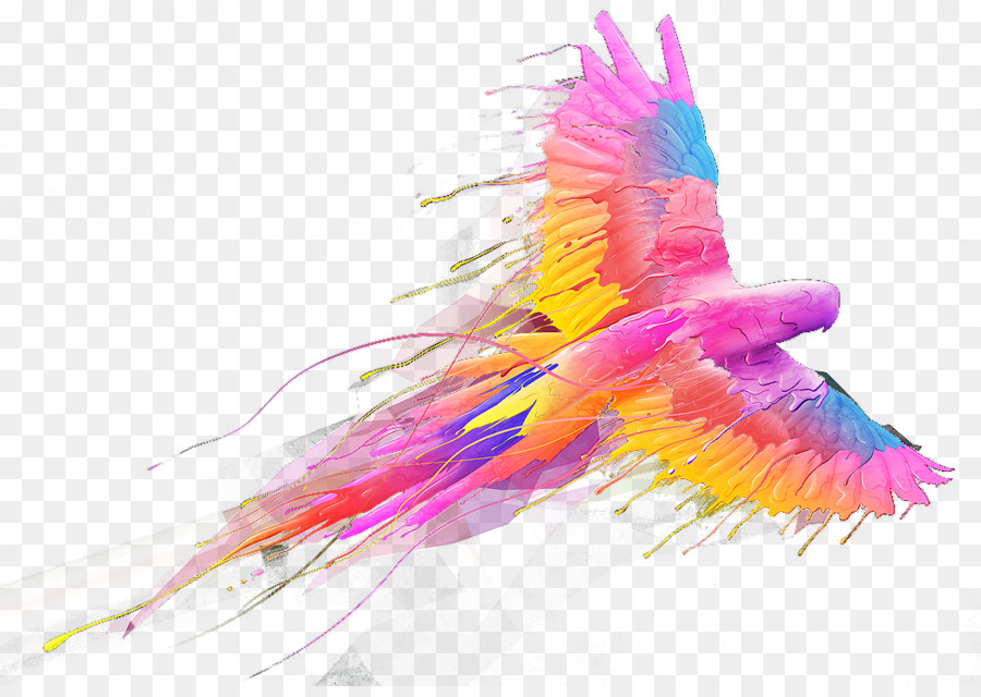 Uccello Pappagallo - Colorato pappagallo di volare