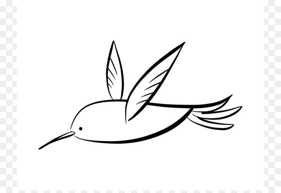 Hummingbird libro da Colorare Disegno Clip art - Cartone animato di colibrì