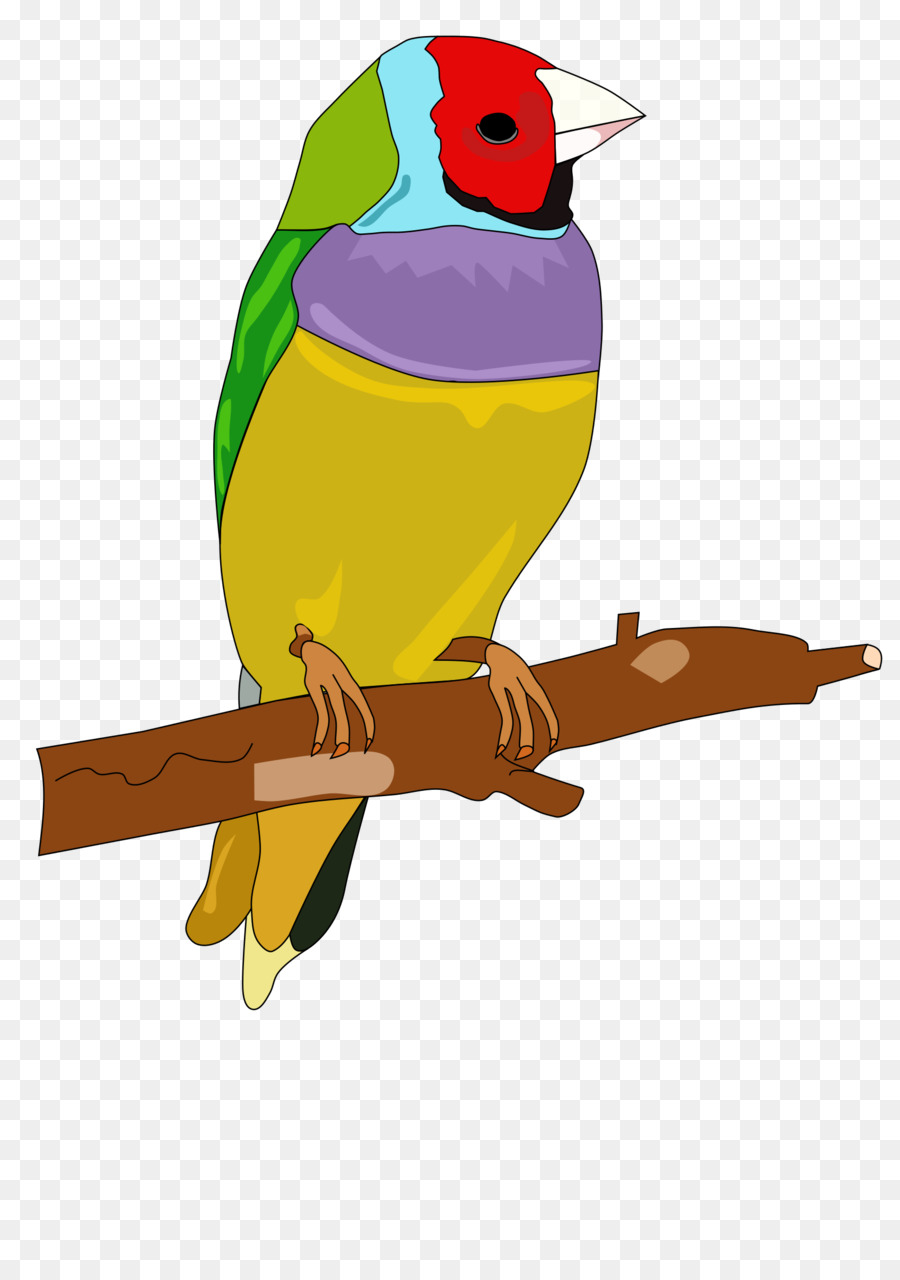 Uccello Gufo Parrot Clip art - pappagallo giocattolo clipart