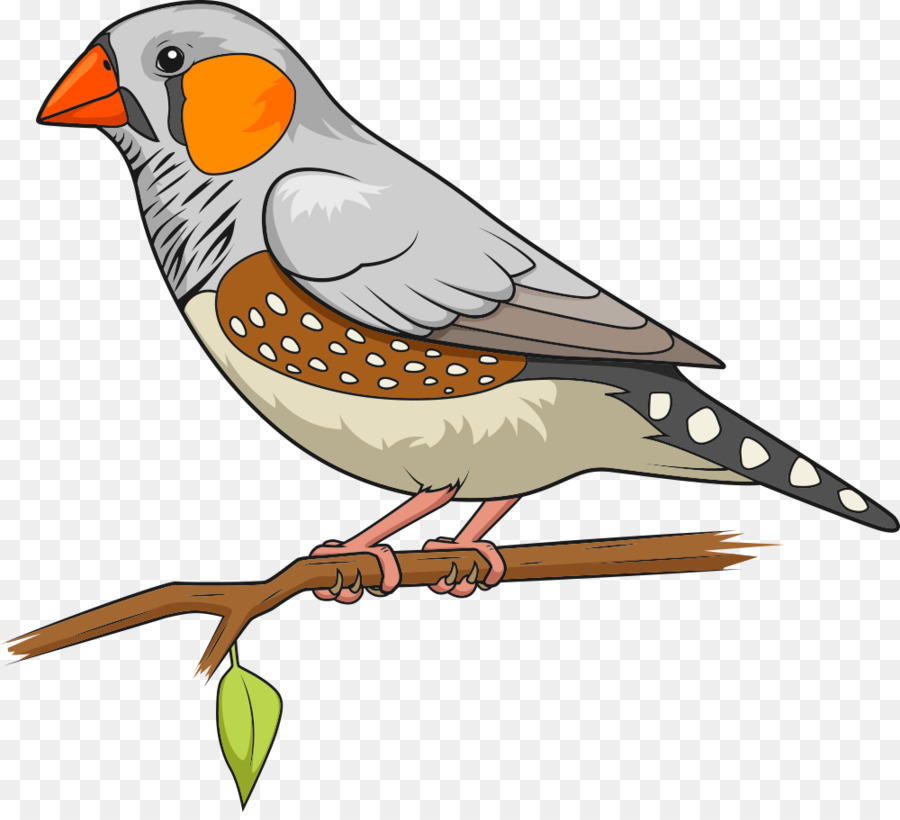 Uccello diamante mandarino Il più Grande Dot-To-Dot Libro di Avventura 2 Collegare i puntini - Vettore colorato pappagallo