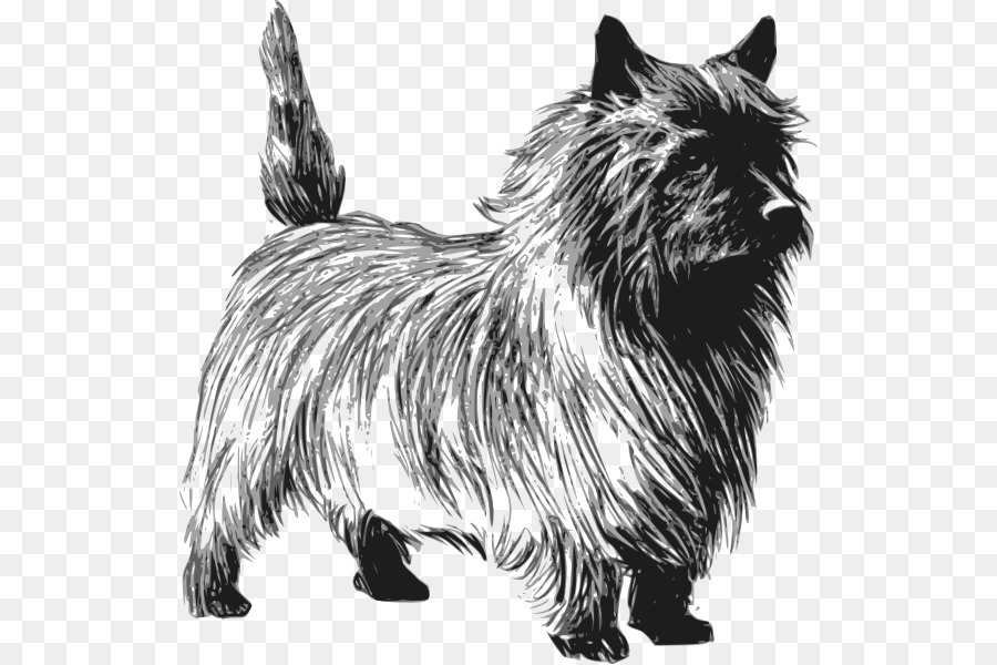 Dog And Cat png download - 576*599 - Free Transparent Cairn Terrier png  Download. - CleanPNG / KissPNG