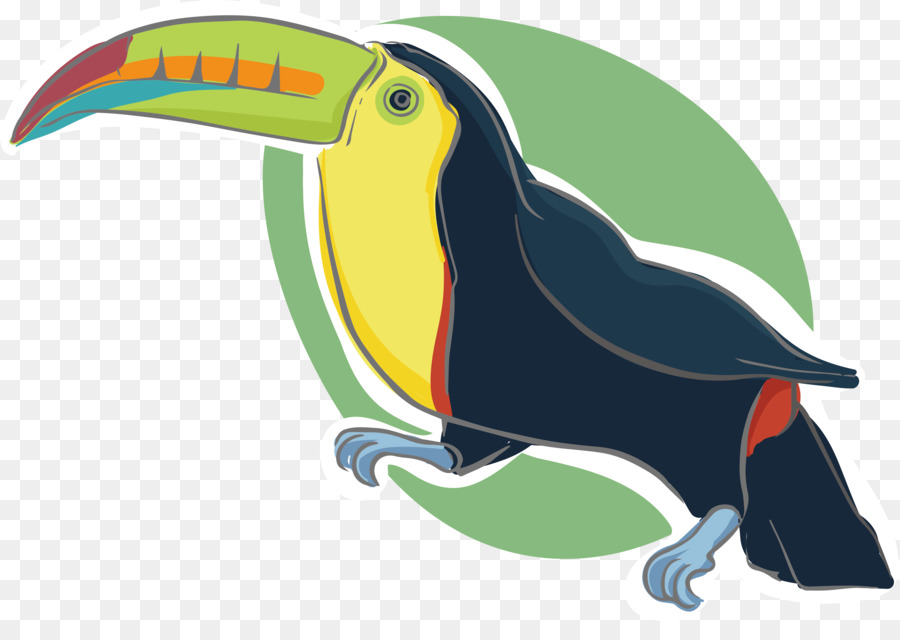 Cartoon Motion graphics Animazione - Cartoon Parrot Design
