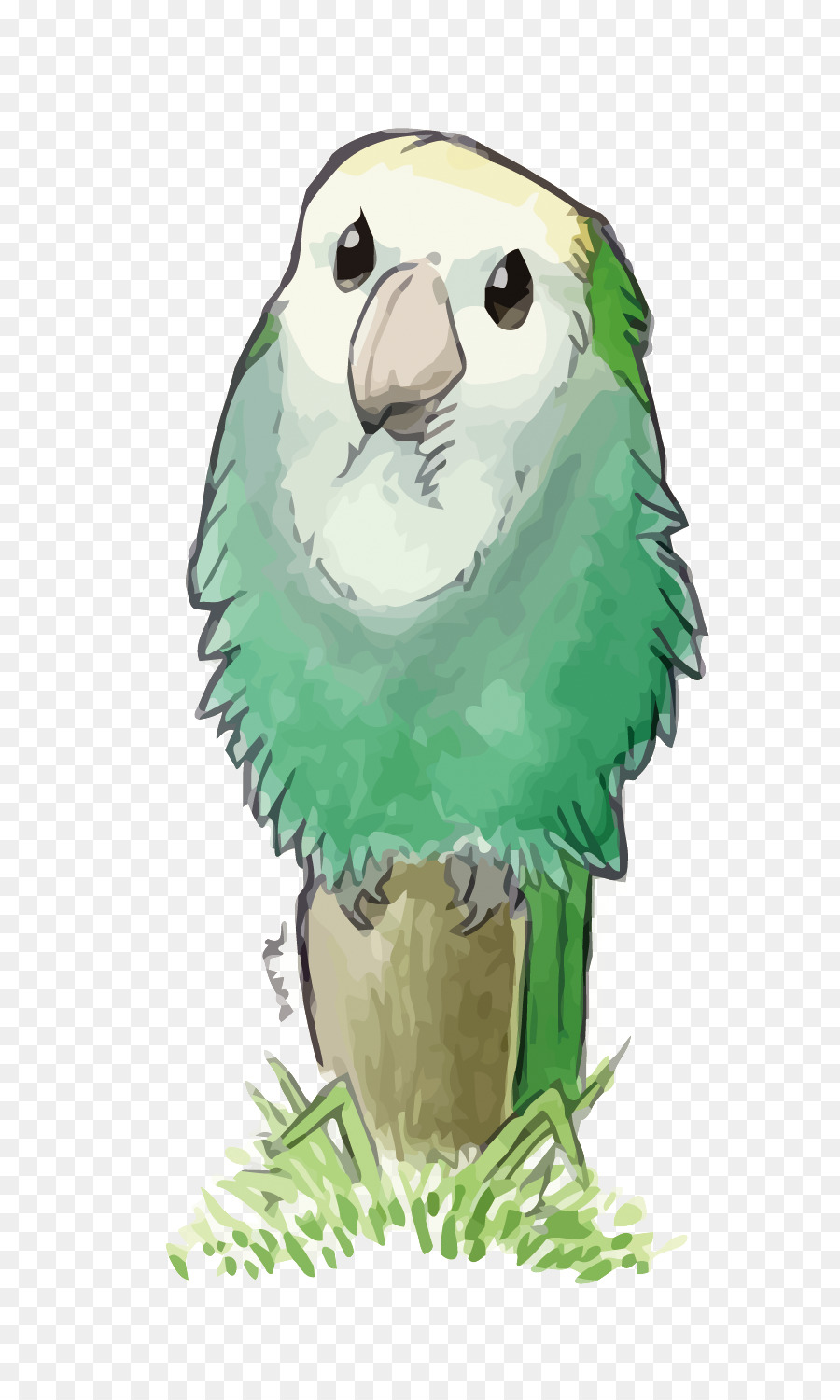 Wellensittich True parrot Illustration - Vektor ertrinken kleinen Papagei