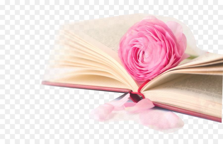 Die Blume Buch-Desktop Wallpaper Rose - Bücher Blumen