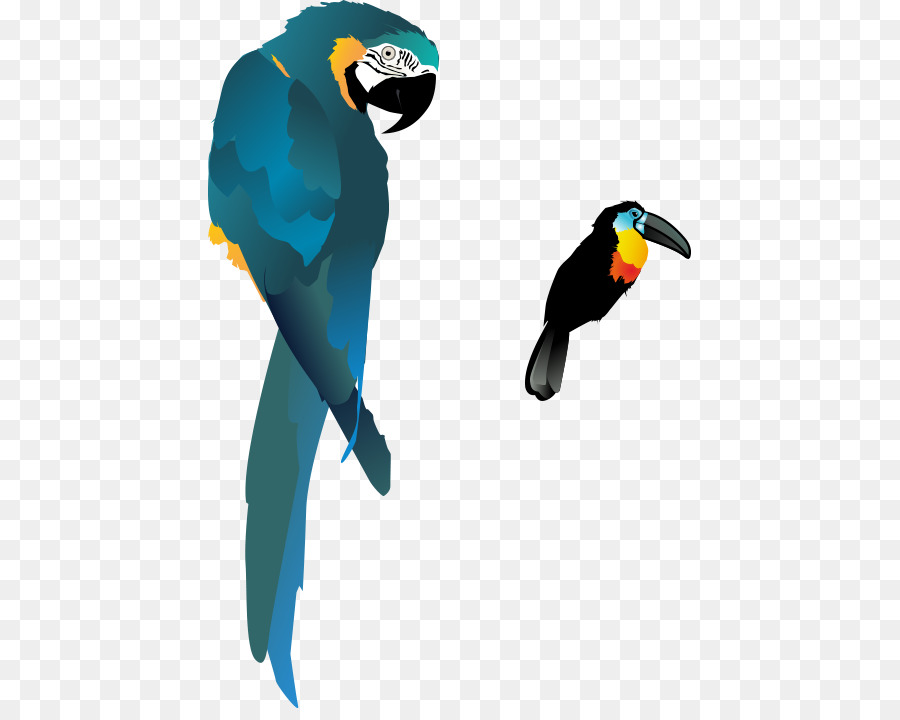 Vogel Wahr Papagei Ara - Cartoon-hand colored parrot