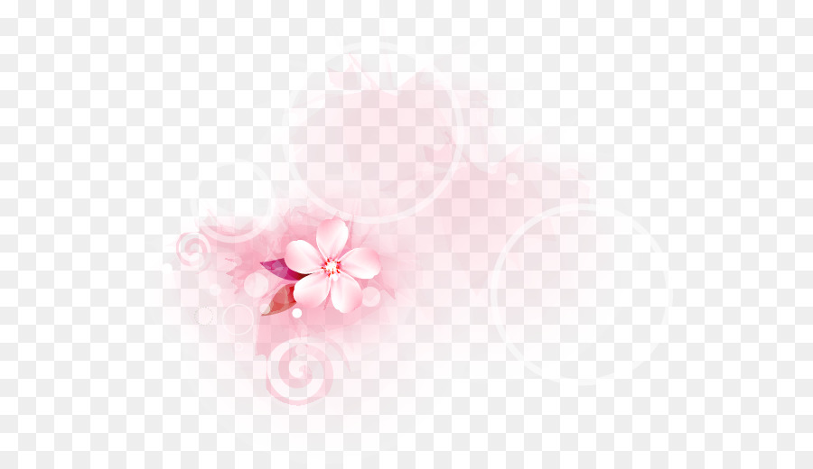 Cánh hoa Nền máy tính hoa anh Đào Cận cảnh - Đơn giản hoa tay vẽ vòng tròn