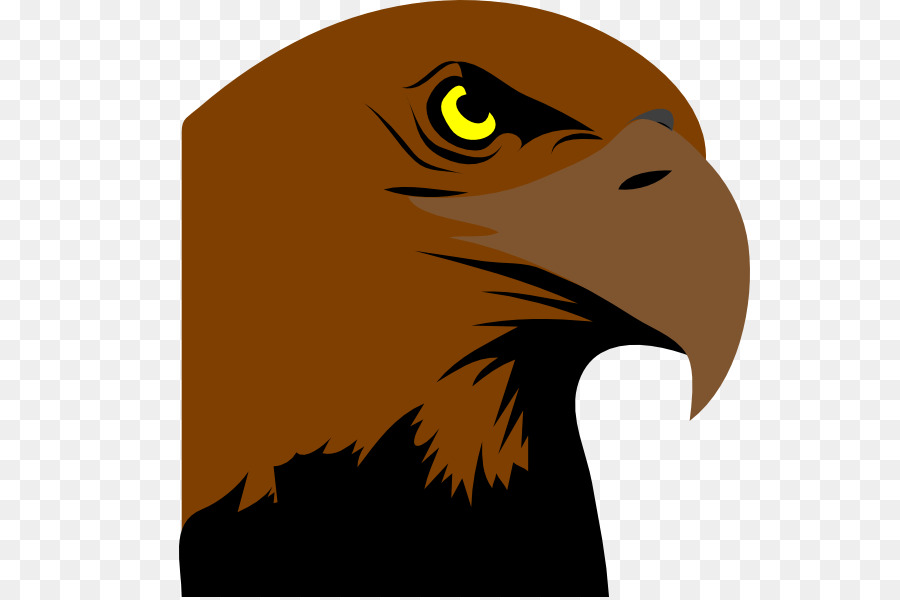 Philadelphia Eagles Logo Uccello Clip art - logo kepala il
