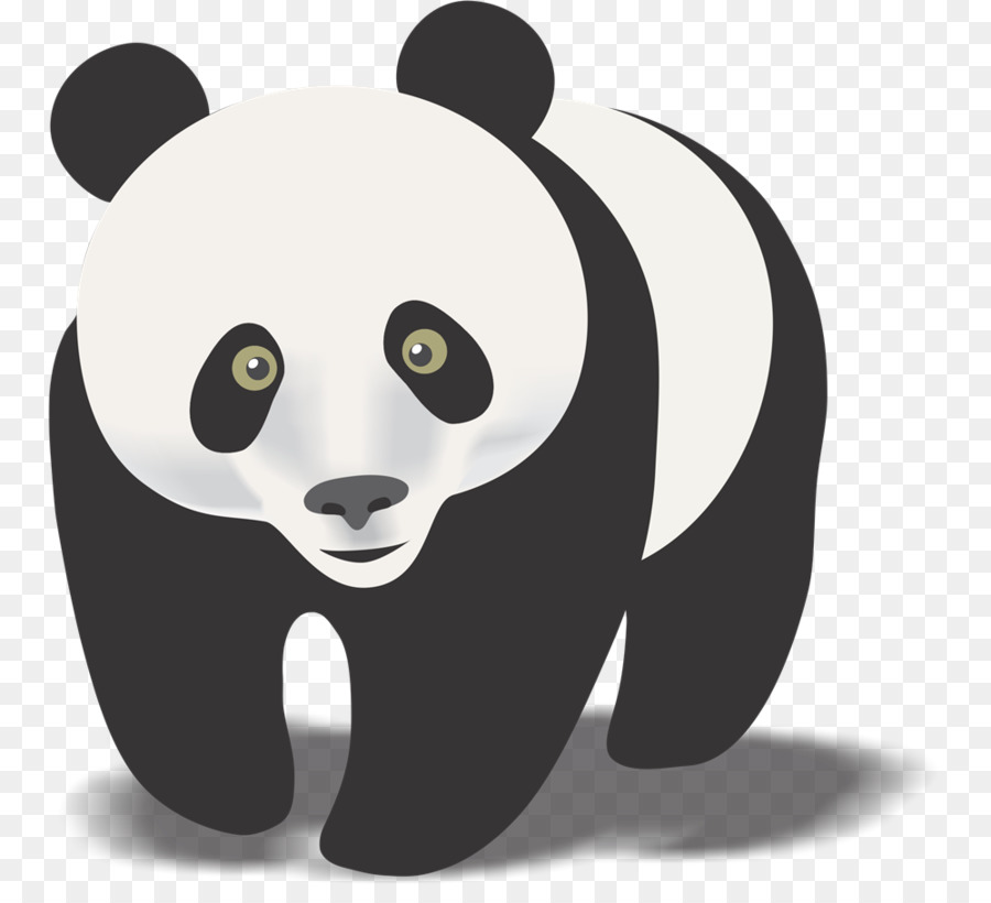 Bear Cartoon png download - 1000*892 - Free Transparent Giant Panda png  Download. - CleanPNG / KissPNG