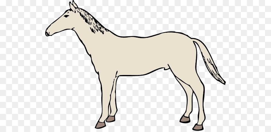 Mustang Equestre Clip art - cavallo clip
