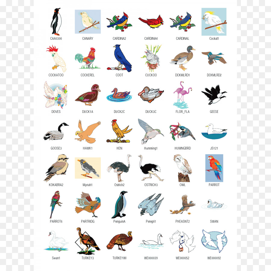 Uccello Download Free Clip art - schermata clipart