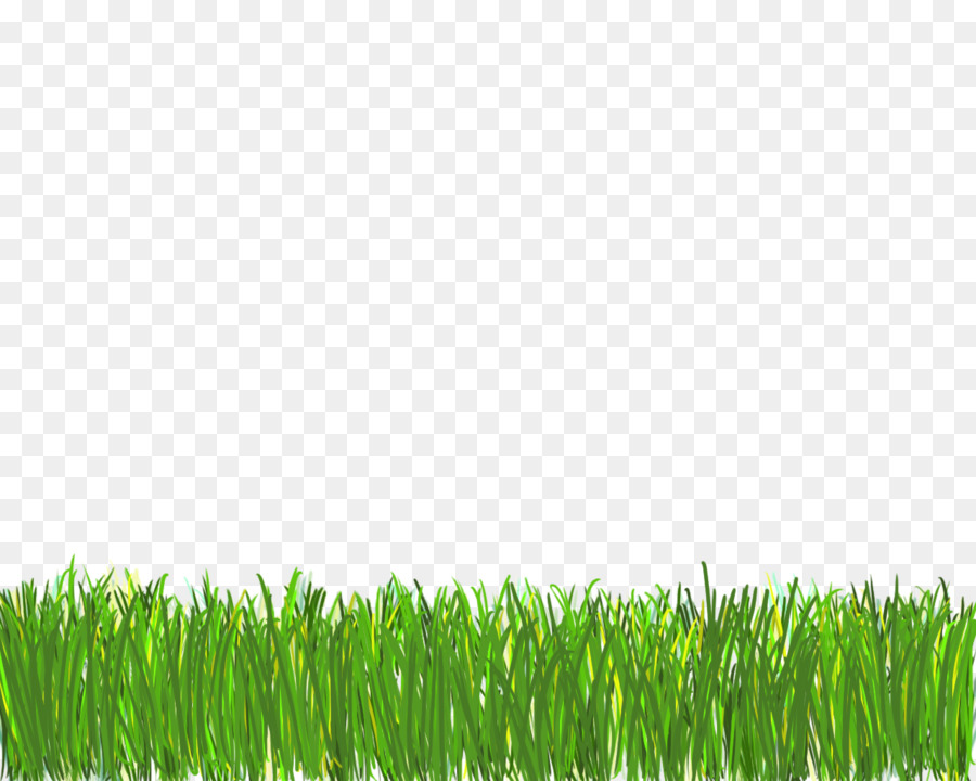 Green Grass Background png download - 1280*1024 - Free Transparent Lawn png  Download. - CleanPNG / KissPNG