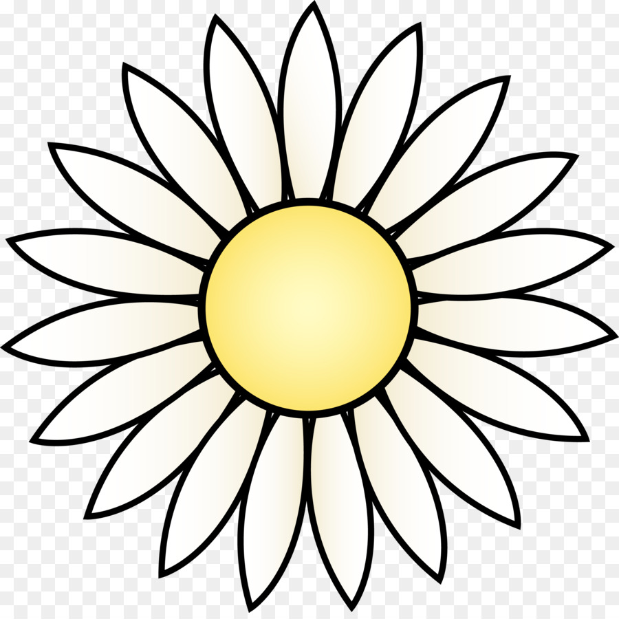Common sunflower-Zeichnung Weiß Schwarz Clip-art - daisy transparent cliparts