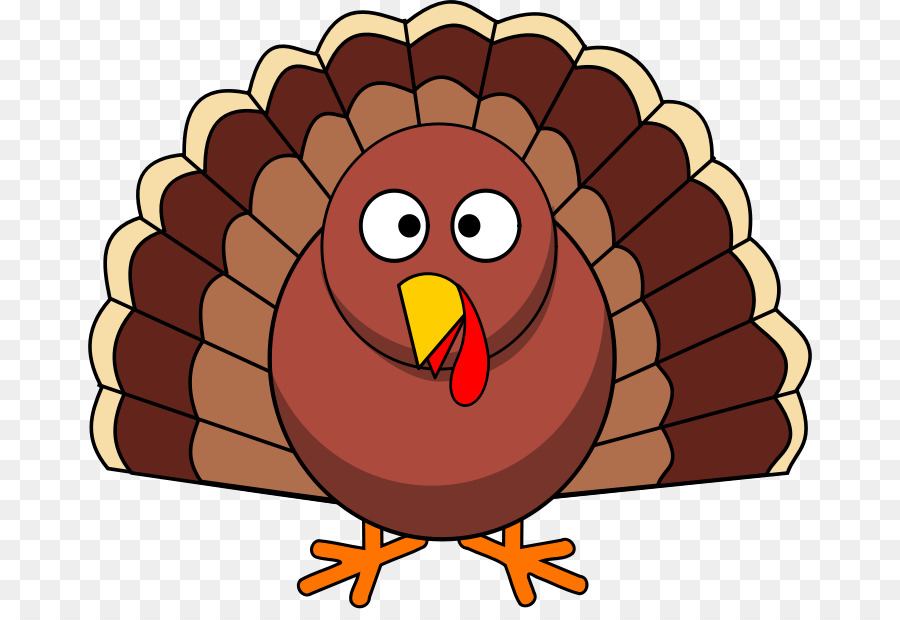 Thanksgiving Day Bird