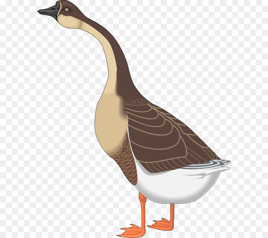 Kanada-Gans-Mother Goose Nene Ente - Freie Vogel Vektor