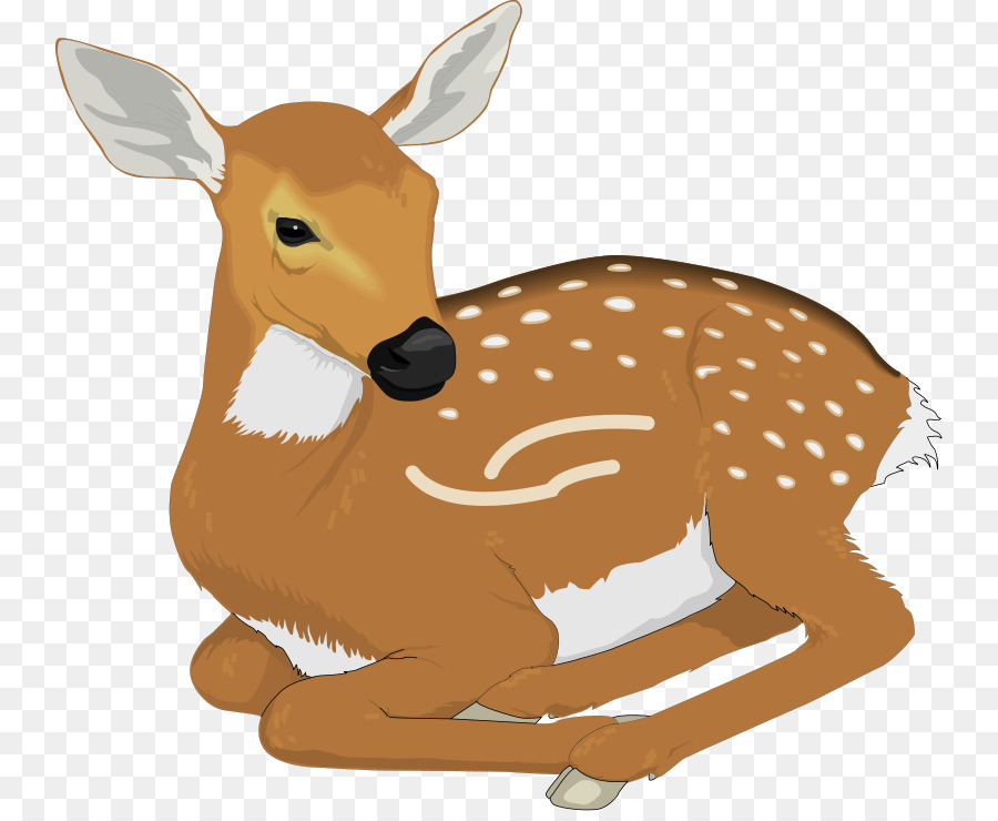 White tailed deer Clip art - nebraska Tier cliparts