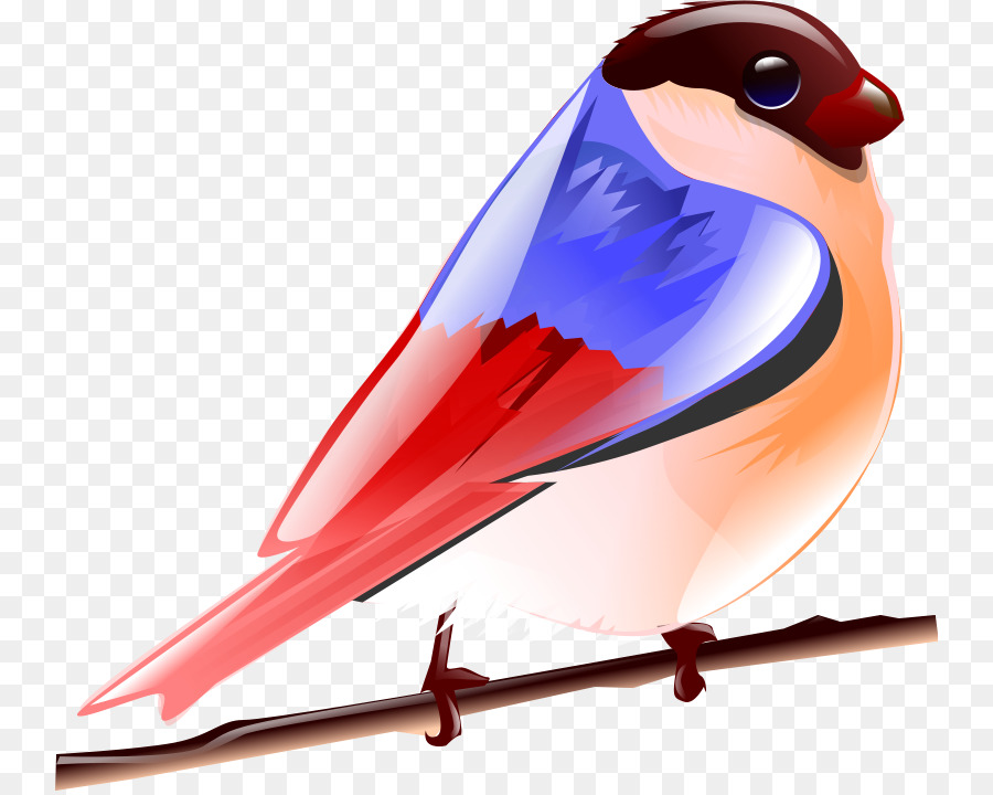 Uccello Passero Gufo Suono Android - foto d'arte della natura