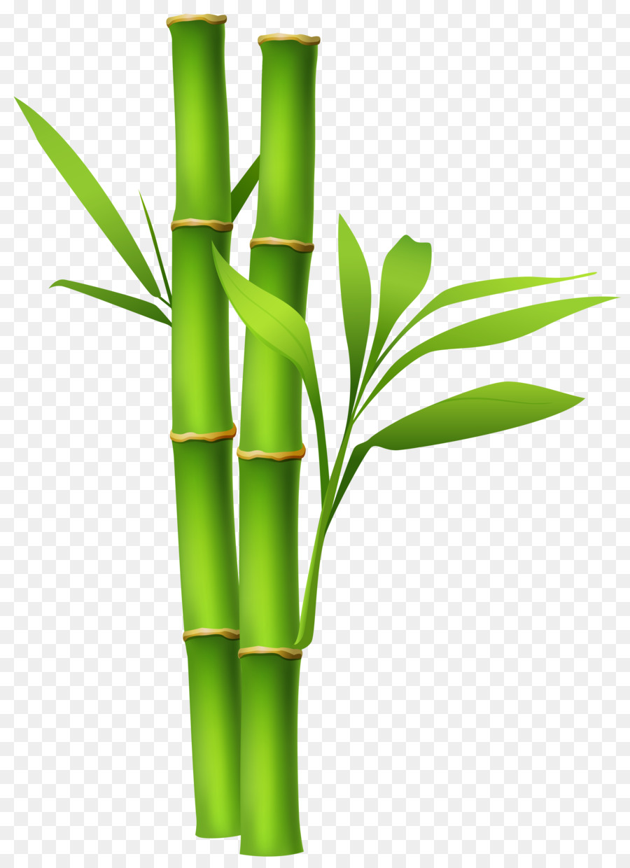 Clip art di bambù - bambù sfondo clipart