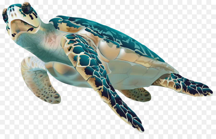 Rùa biển xanh Clip nghệ thuật - rùa