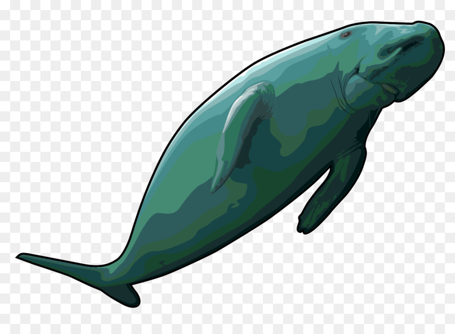Seekühe Steller ' s sea cow Common bottlenose dolphin, Dugong Clip-art - Wal