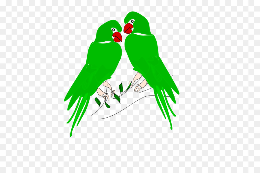 Uccello pappagallo Clip art - pappagallo