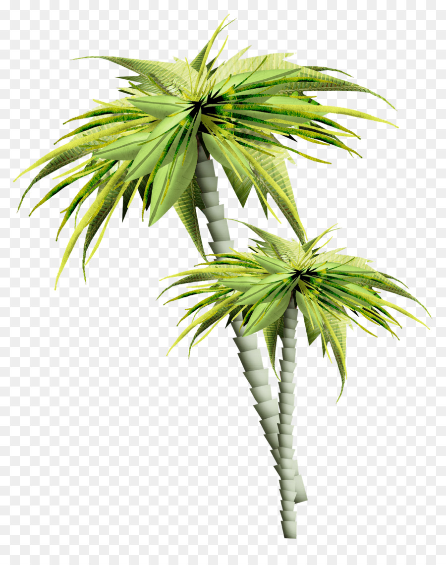 Baum-Februar - Palme