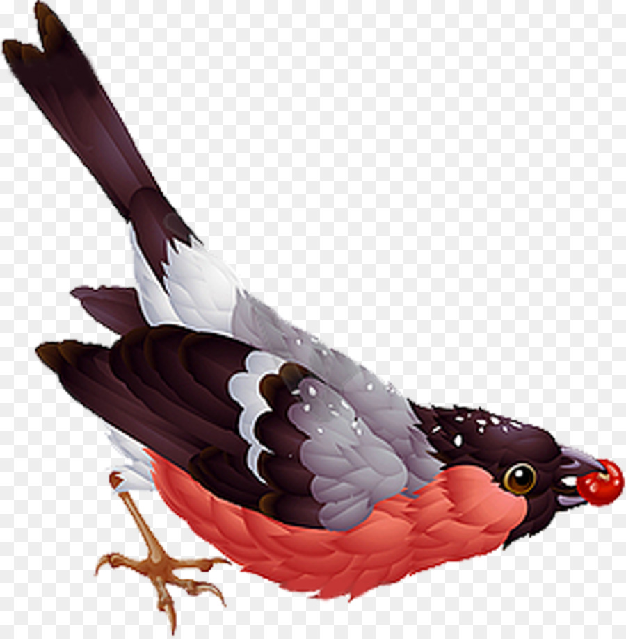 Uccello Eurasiatico ciuffolotto Vecteur Clip art - uccelli