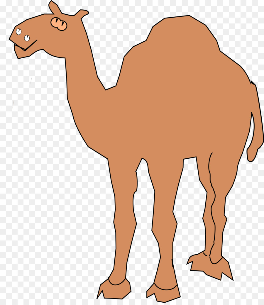 Dromedar Clip art - Camel