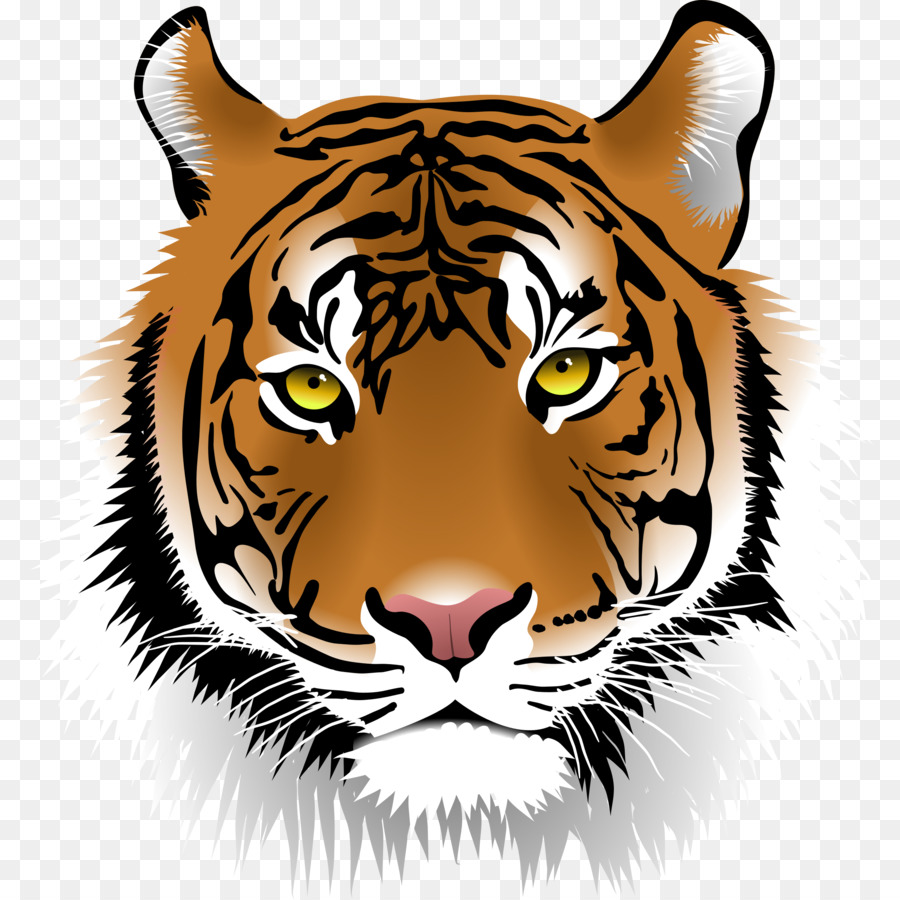 Bengal Tiger Cat Clip Art - Tiger