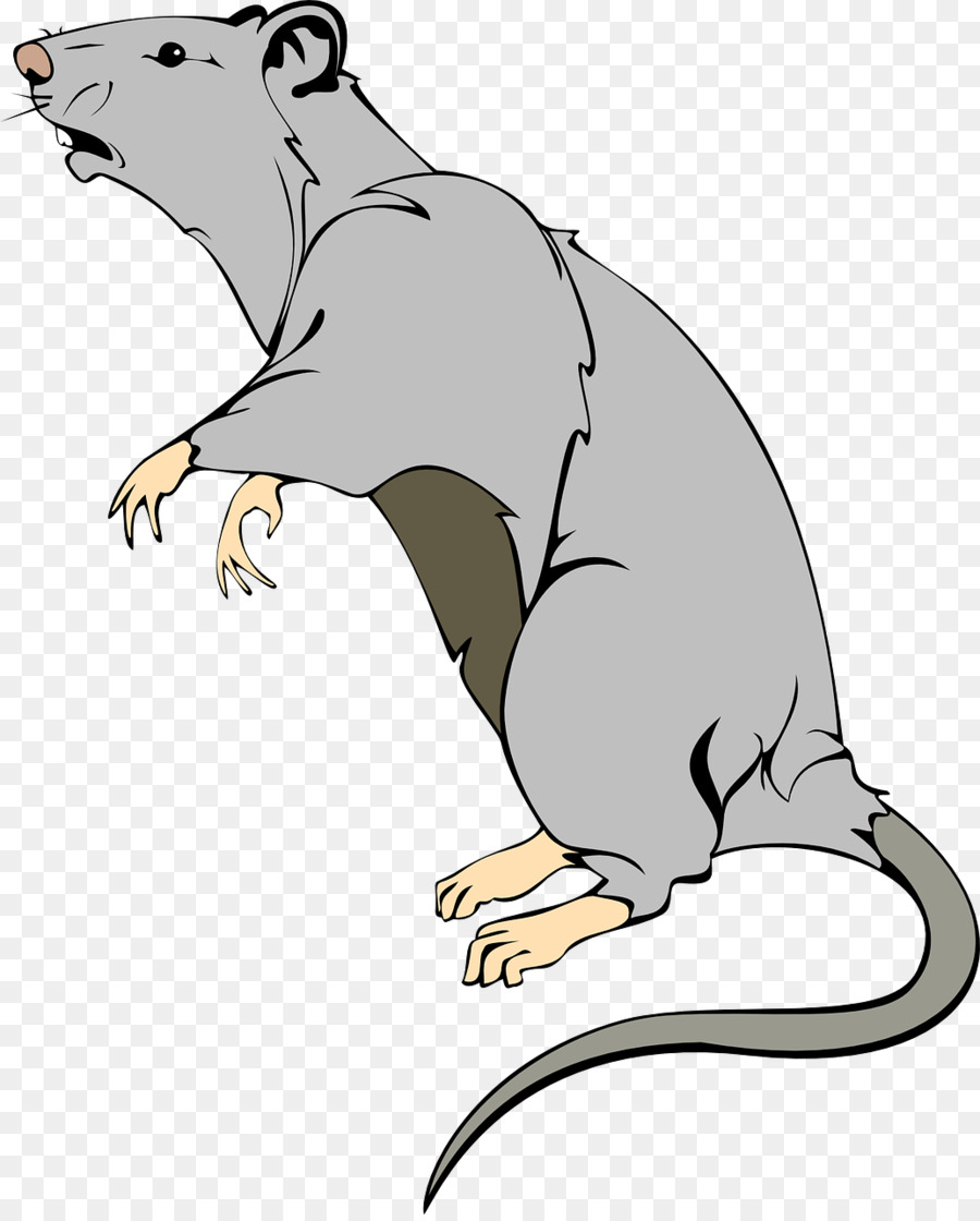Braun Labor Ratte Maus Ratte clipart - Ratte