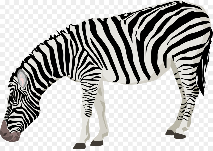 Animali Bianco e Nero, Clip art - zebra
