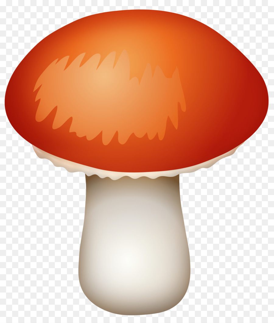Comune di fungo, Fungo Clip art - funghi
