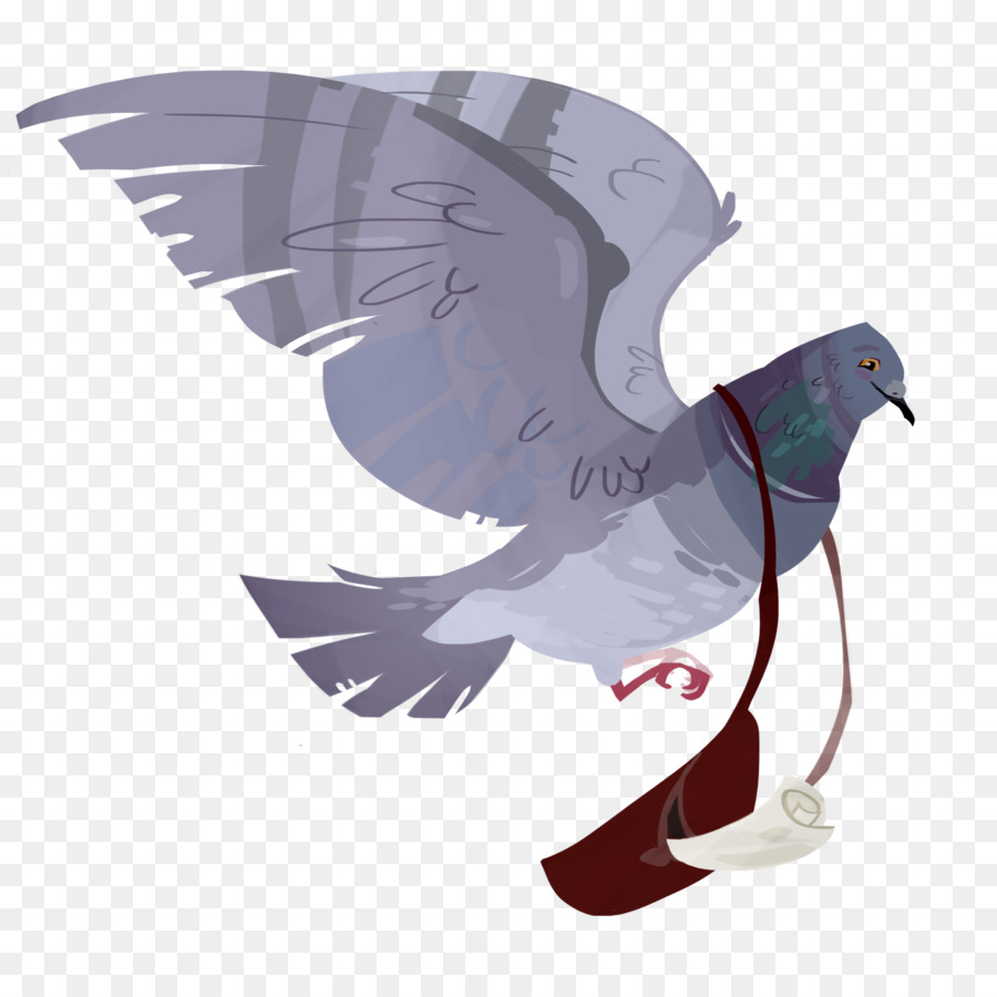 Bird Cartoon png download - 900*900 - Free Transparent English Carrier  Pigeon png Download. - CleanPNG / KissPNG