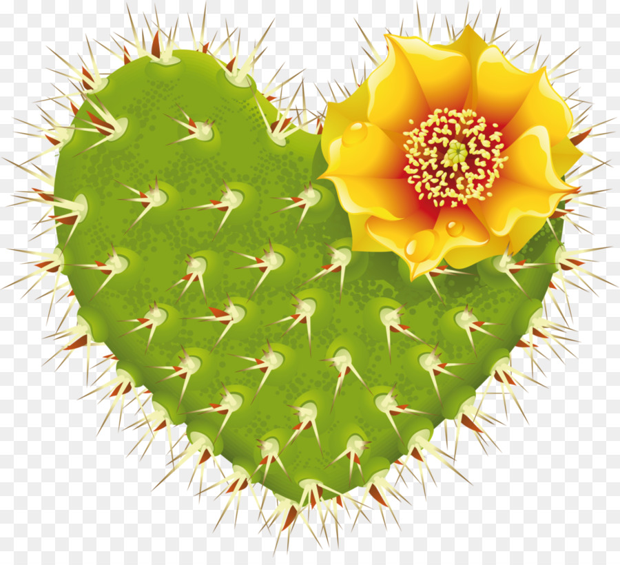 Cactaceae Herz Blühende pflanze - Kaktus
