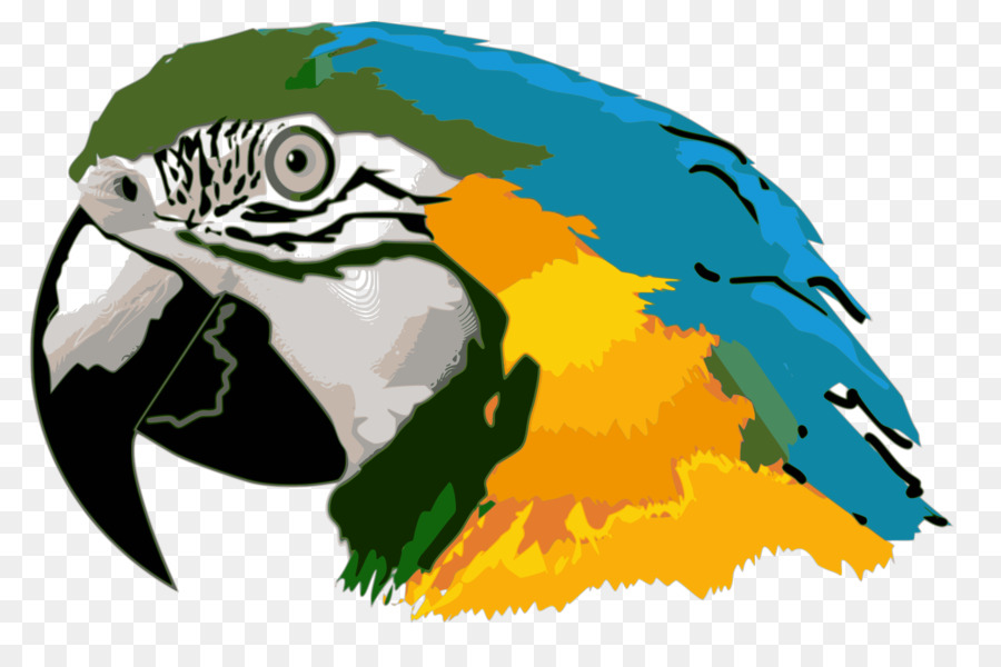 Uccello pappagallo Blu e giallo macaw Clip art - pappagallo