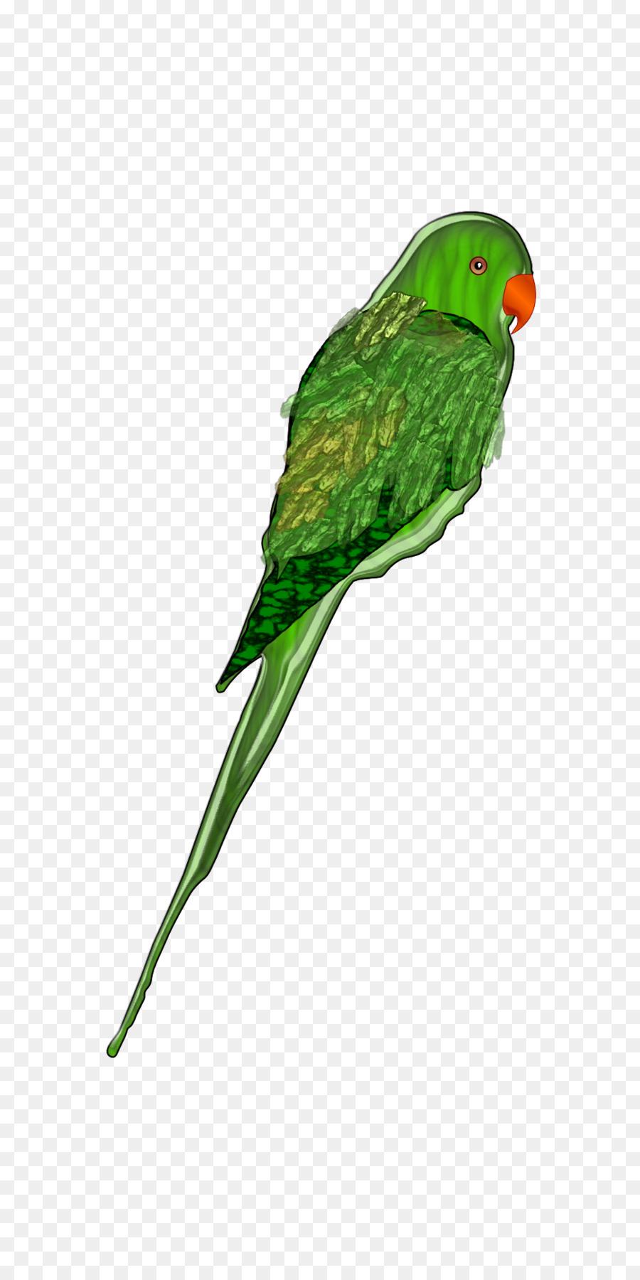 Papagei Vogel Wellensittich Sittich Clip art - Papagei