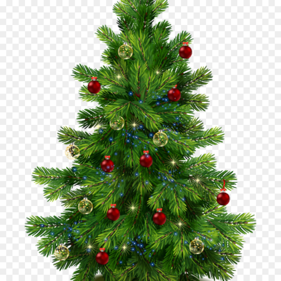 Christmas Tree Branch