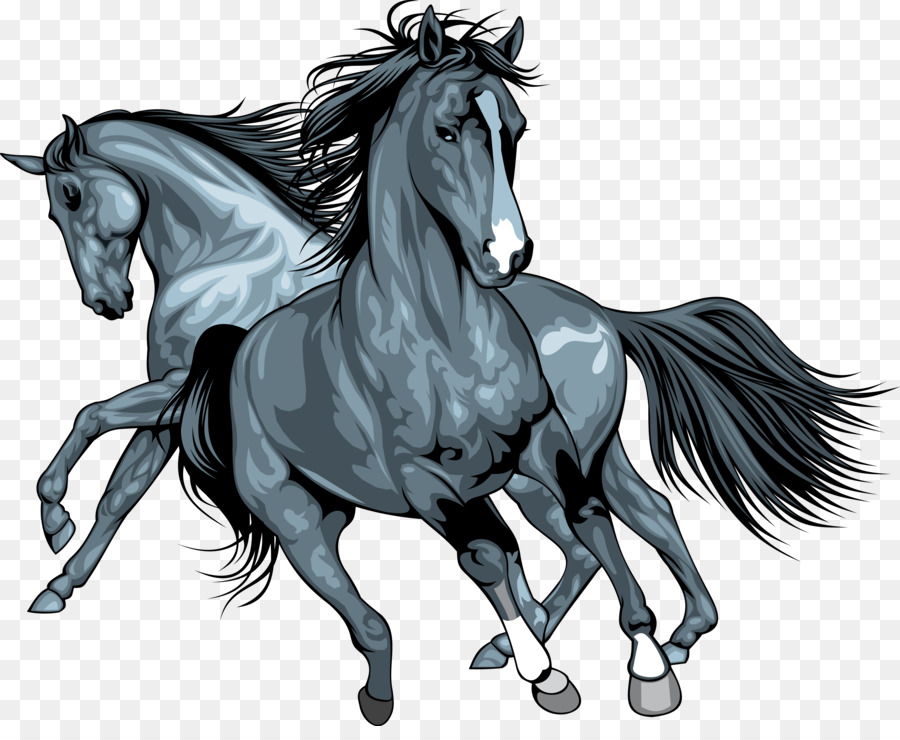 Wild Horse Clip Art - Pferd