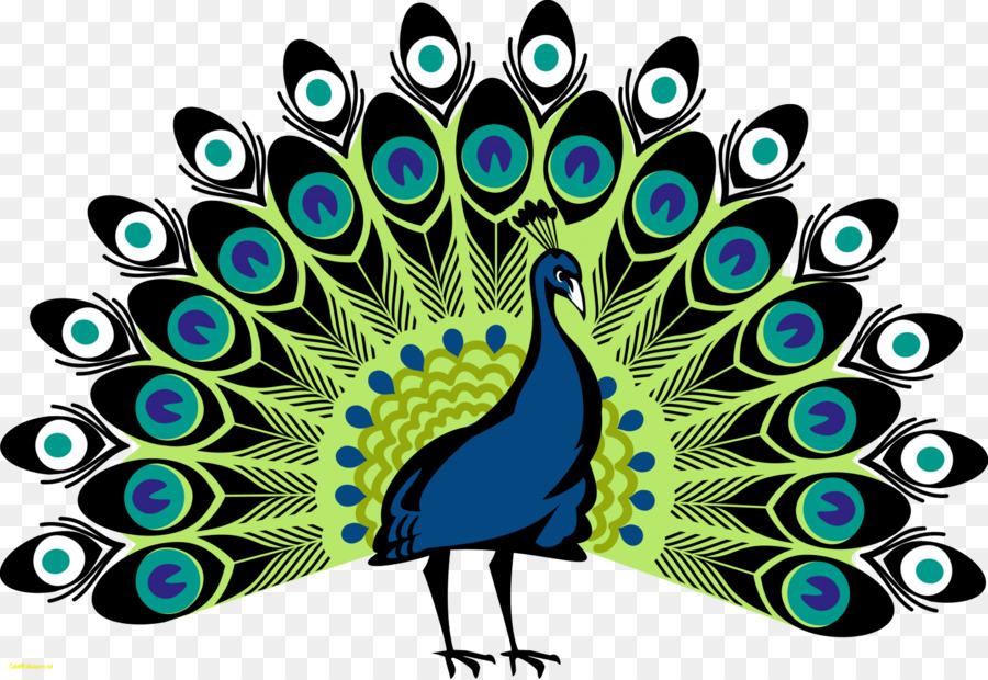 Peacock by Ryu-no-Mizu on deviantART | Peacock tattoo, Peacock drawing, Line  art images