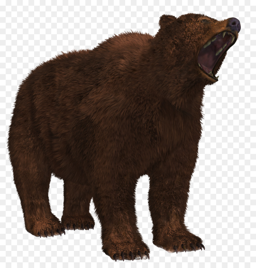 Alaska bán Đảo brown chịu Hình dạng tập tin - Gấu