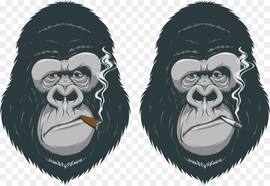 Gorilla Primaten-Schimpansen Affen - Gorilla