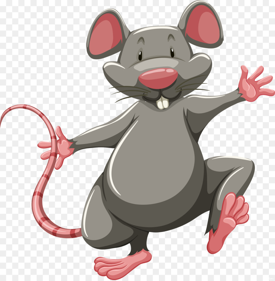Ratto di laboratorio Mouse Clip art - ratto
