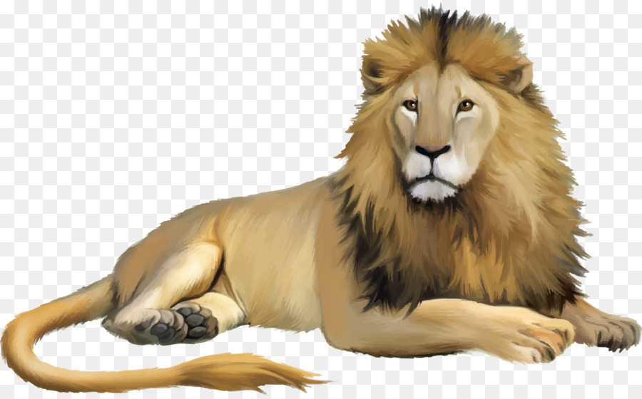 Chiêm ngưỡng 101 hình ảnh sư tử dũng mãnh đẹp nhất muôn loài