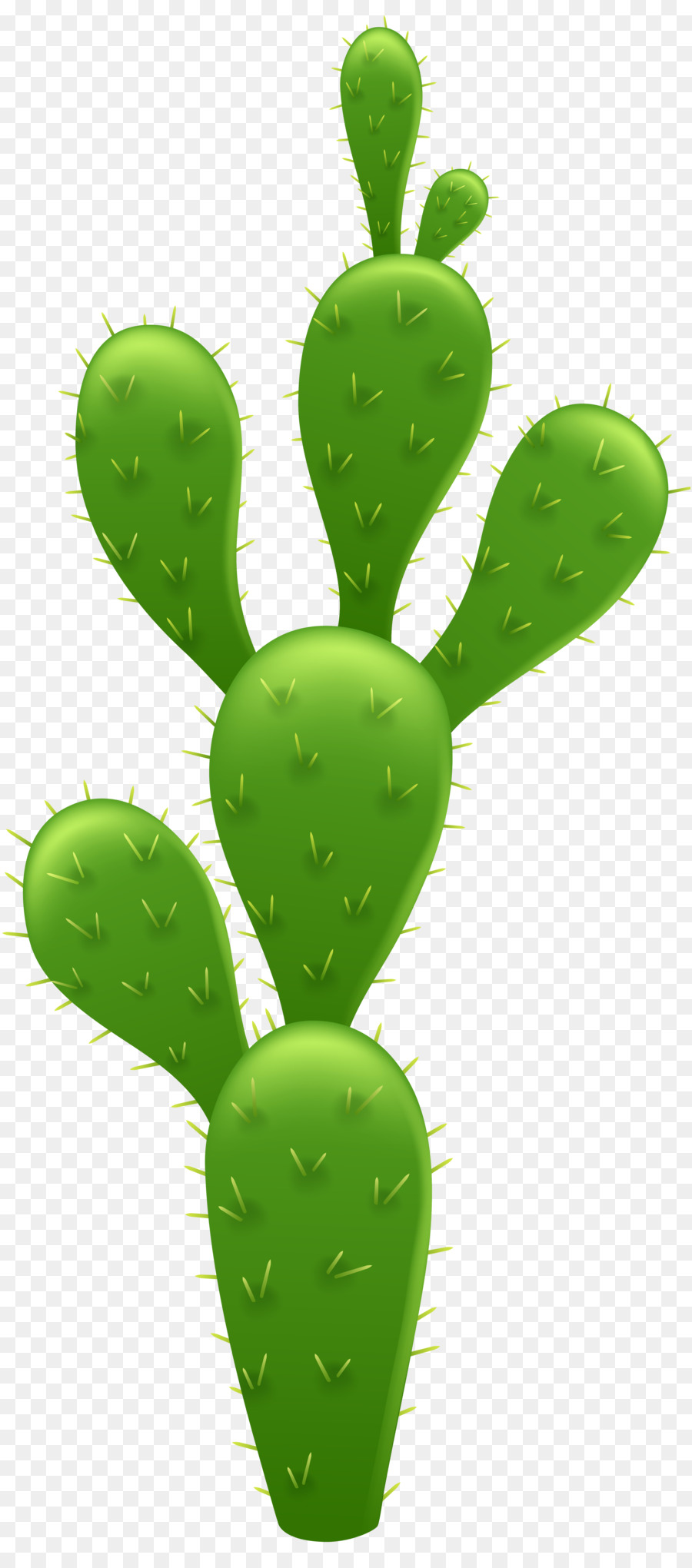Cactaceae fichi d'india Clip art - cactus