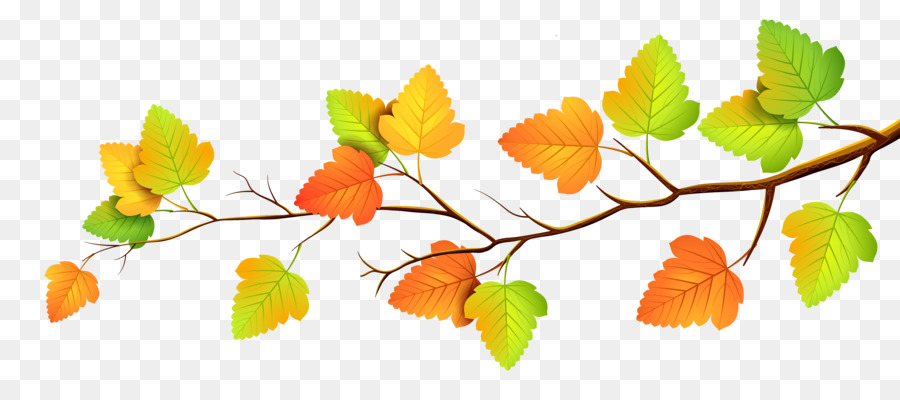 foglia d'autunno di colore - foglie di autunno
