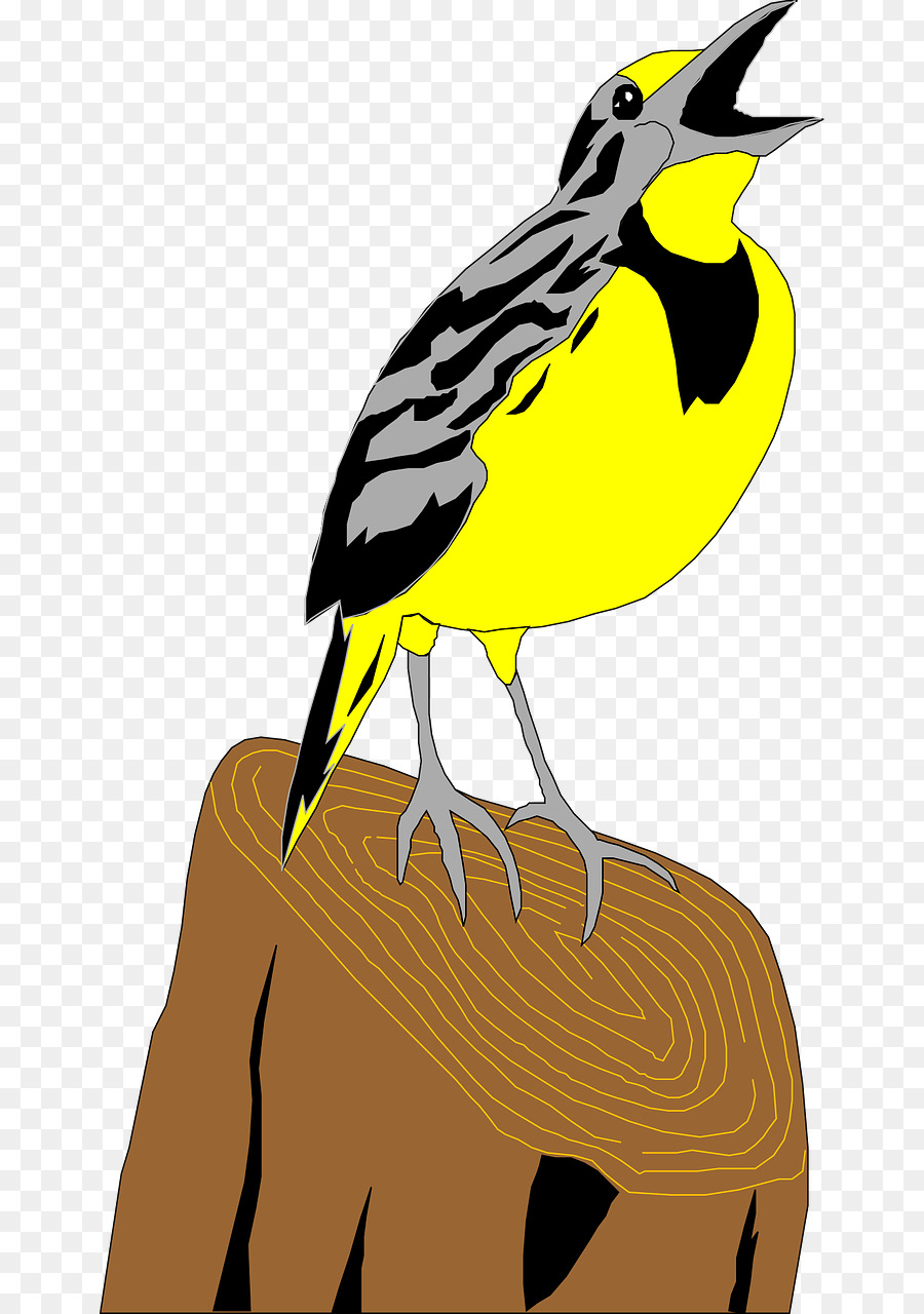 Flappet allodola Uccello Clip art - uccelli
