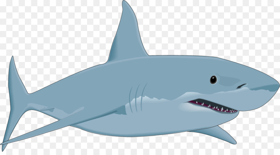 Grande squalo bianco Scaricare Clip art - squali