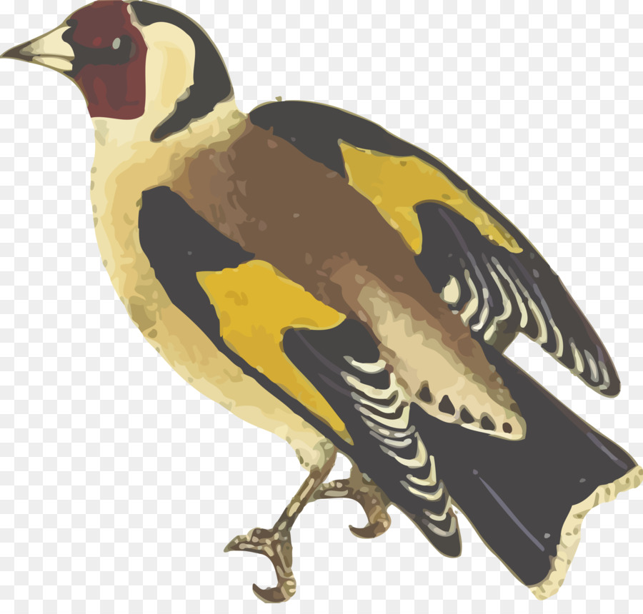 Europäische Stieglitz Vogel-Ente-clipart - Vögel