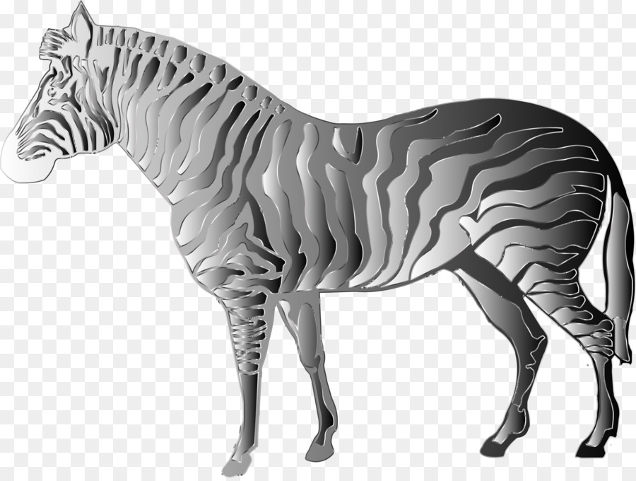 Mustang Hengst Quagga-Zebra - Zebra