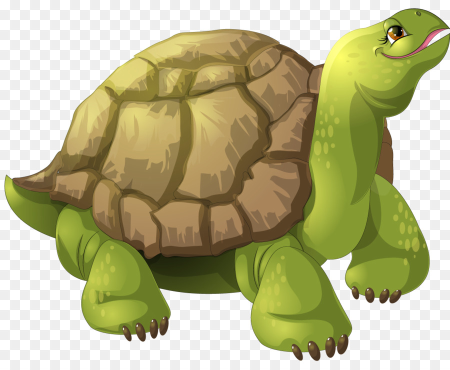 Tartaruga Animazione - tartaruga