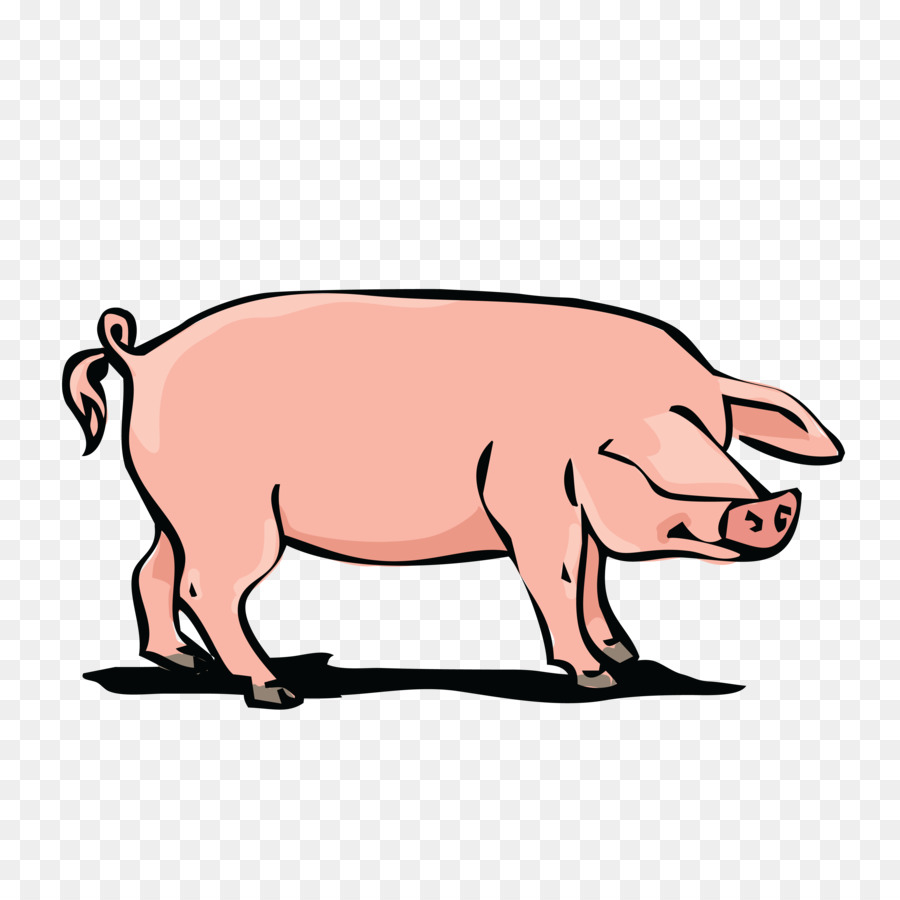 Trong nước Thịt lợn Clip nghệ thuật - heo rừng